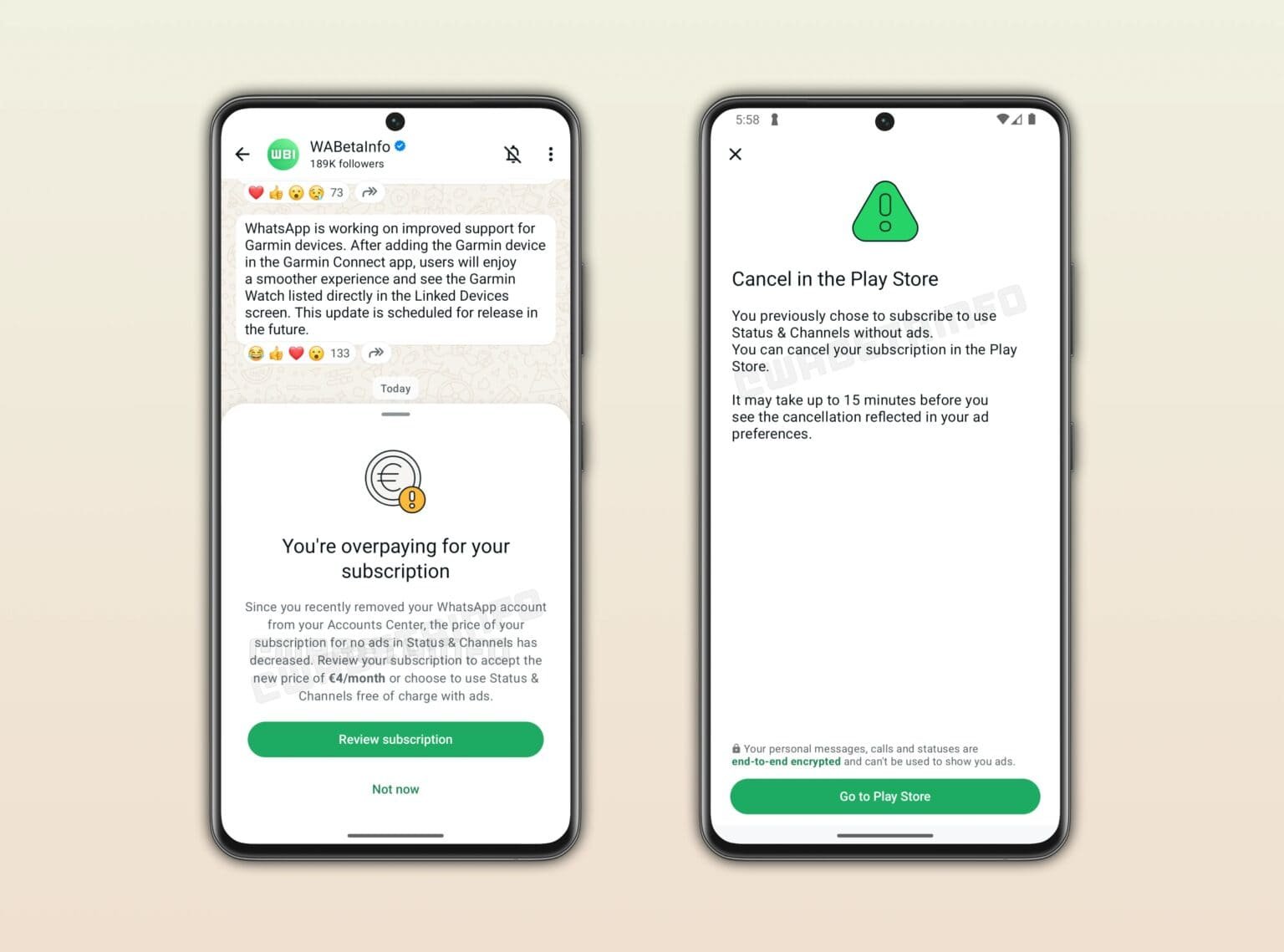 WhatsApp Optional Subscription